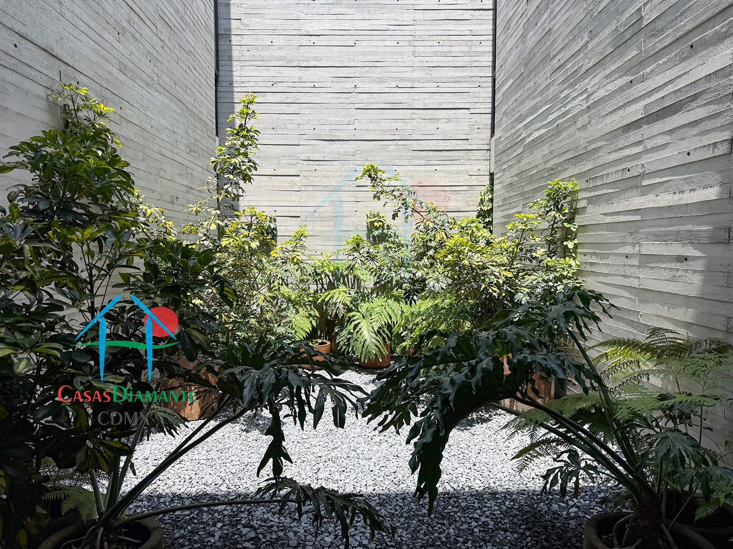 Las Aguilas Ursus AJA - Jardín Zen 2